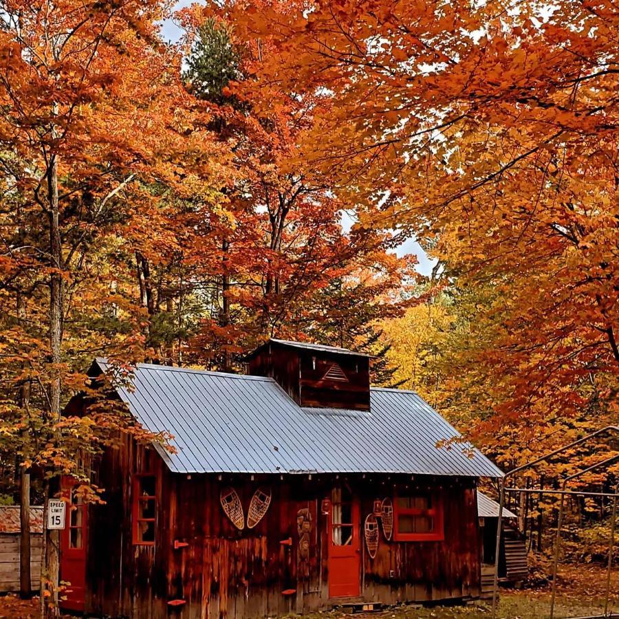 Les Chalets Sur Le Cap Saint Joachim Esterno foto